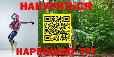 ECSTASY Новозыбков