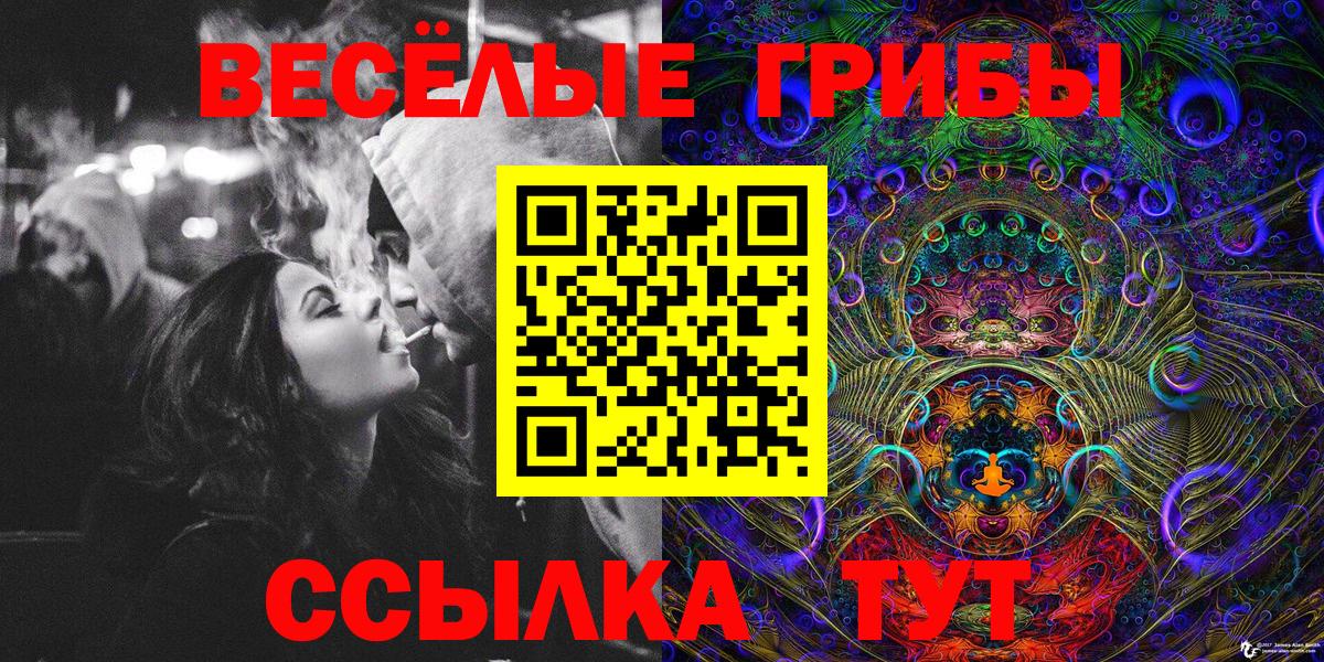 Псилоцибиновые грибы мицелий Туймазы