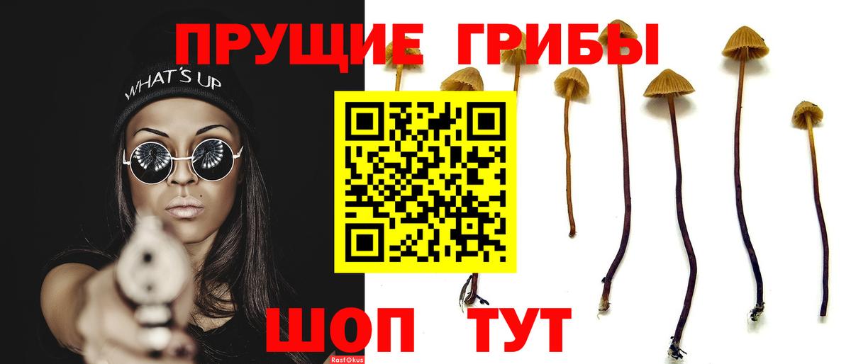 Туймазы  Галлюциногенные грибы Psilocybe  Вход с VPN 